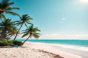 恩施SEO外包趋势解析：企业优化网络营销，提升品牌影响力。